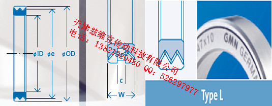 GMNL100X120X10油封圖紙