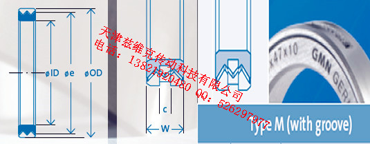 GMNM210X250X22油封圖紙